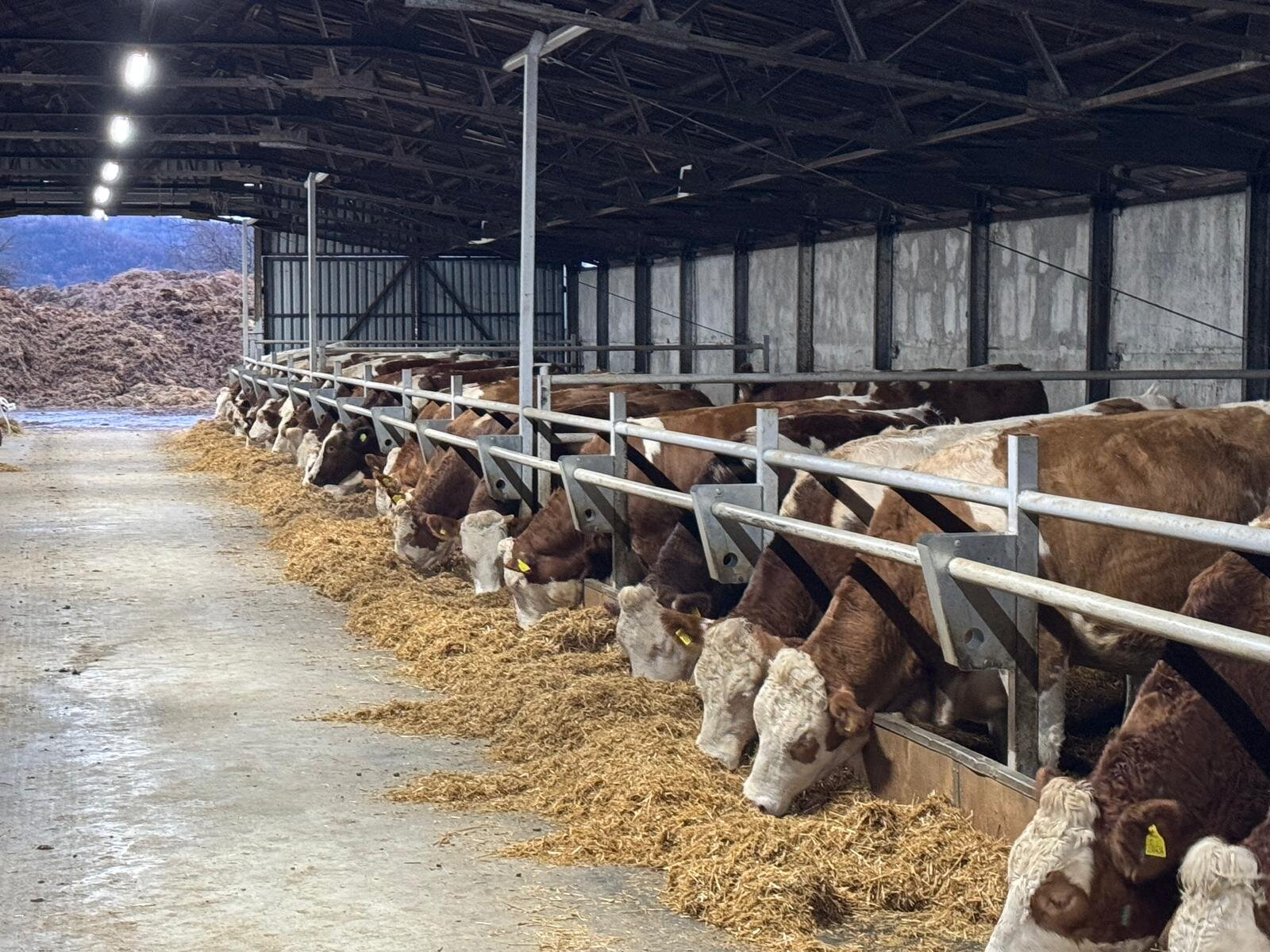 Quarantine Facilities